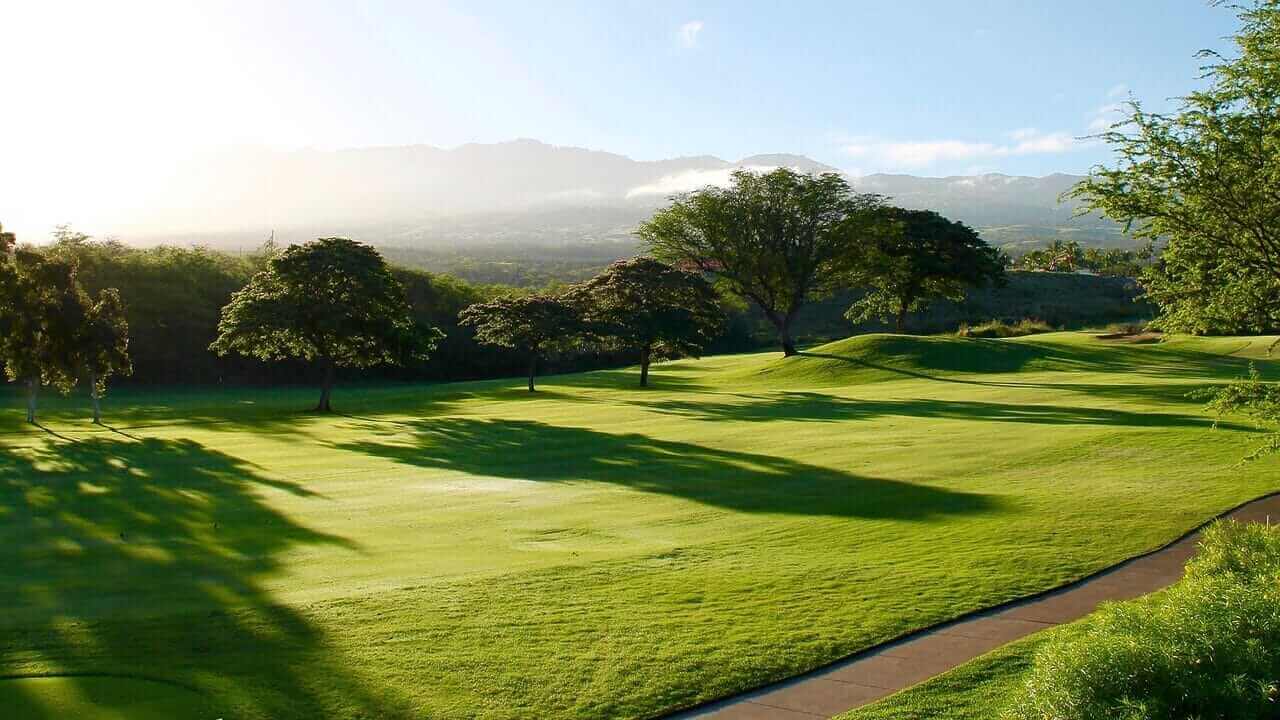 Was ist das Grün beim Golfen?