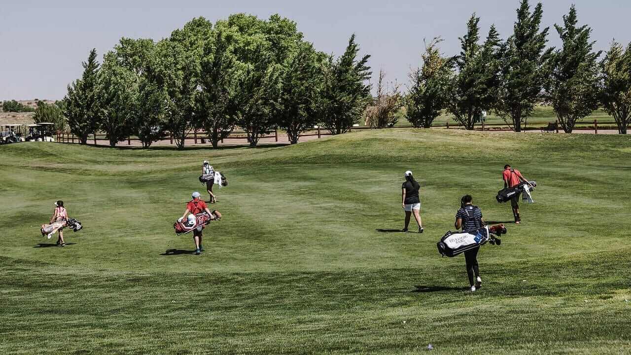 mygolfde zu golfde vom dgv